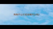 狗狗不让打疫苗喝可以吗