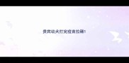 贵宾幼犬打完疫苗拉稀