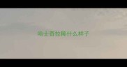 哈士奇拉稀什么样子
