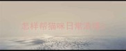 怎样帮猫咪日常清理