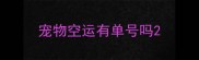 宠物空运有单号吗