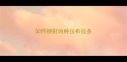 如何辨别纯种拉布拉多