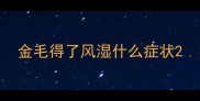 金毛得了风湿什么症状