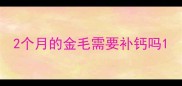 2个月的金毛需要补钙吗