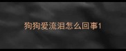 狗狗爱流泪怎么回事