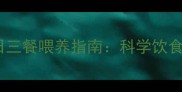 成年边境牧羊犬一日三餐喂养指南科学饮食方案与常见误区全