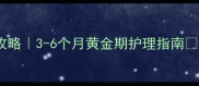 黑背犬立耳全攻略3-6个月黄金期护理指南附失败案例