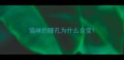 猫咪的瞳孔为什么会变