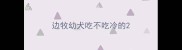 边牧幼犬吃不吃冷的
