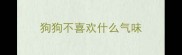 狗狗不喜欢什么气味