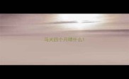 马犬四个月喂什么