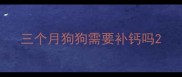 三个月狗狗需要补钙吗