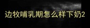 边牧哺乳期怎么样下奶