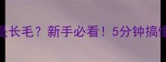 金毛是短毛还是长毛新手必看5分钟搞懂金毛毛发全攻略
