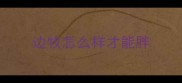 边牧怎么样才能胖