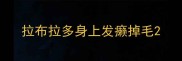 拉布拉多身上发癞掉毛