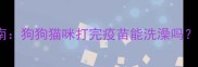 宠物疫苗后洗澡指南狗狗猫咪打完疫苗能洗澡吗这些注意事项必看