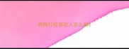 狗狗打疫苗咬人怎么解
