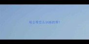 哈士奇怎么训练的乖