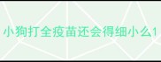 小狗打全疫苗还会得细小么