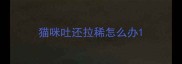 猫咪吐还拉稀怎么办