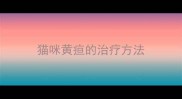 猫咪黄疸的治疗方法