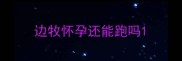 边牧怀孕还能跑吗