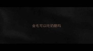 金毛可以吃奶酪吗