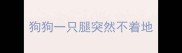 狗狗一只腿突然不着地