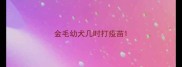 金毛幼犬几时打疫苗