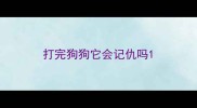 打完狗狗它会记仇吗