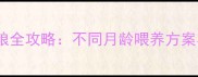 幼犬科学换粮全攻略不同月龄喂养方案与注意事项