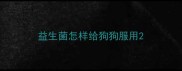 益生菌怎样给狗狗服用