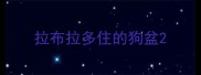 拉布拉多住的狗盆