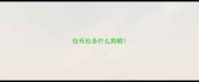 拉布拉多什么狗粮