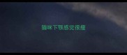 猫咪下颚感觉很瘦