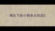 刚生下的小狗多久吃奶