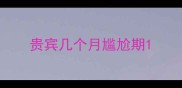 贵宾几个月尴尬期