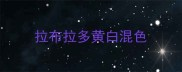 拉布拉多黄白混色