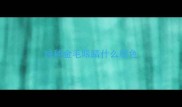 纯种金毛眼睛什么颜色