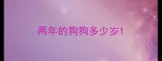 两年的狗狗多少岁