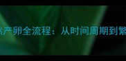 金鱼自然产卵全流程从时间周期到繁殖技术