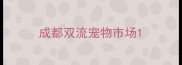 成都双流宠物市场