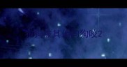 狗狗被其他狗狗咬