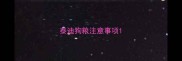 泰迪狗粮注意事项