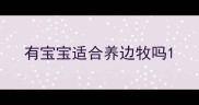 有宝宝适合养边牧吗