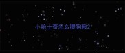 小哈士奇怎么喂狗粮
