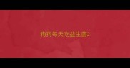 狗狗每天吃益生菌