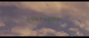 边牧吃什么补钙好