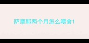 萨摩耶两个月怎么喂食